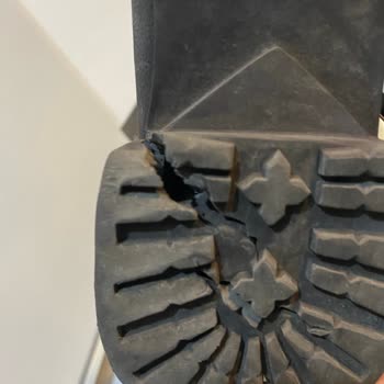 Tergan Gene Hayal Kırıklığı