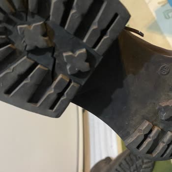 Tergan Gene Hayal Kırıklığı