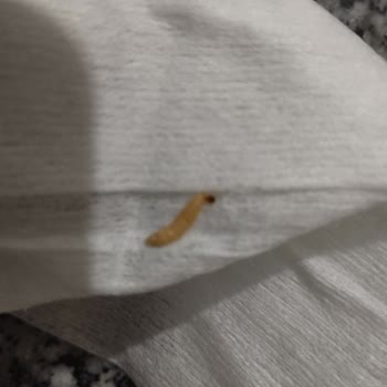 BİM Krock Firmasından Şikayet