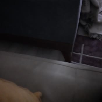 Türkiye Finans Katılım Bankası DASK Ta İpotek Yazısını Kaldırmaması