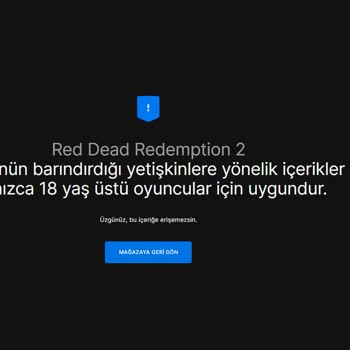 Epic Games Yaş Ayarı Saçmalığı