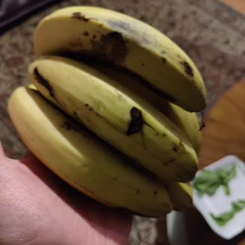 Şok Marketler Online Siparişte Eksik Ve Kalitesiz Ürün Hayal Kırıklığı