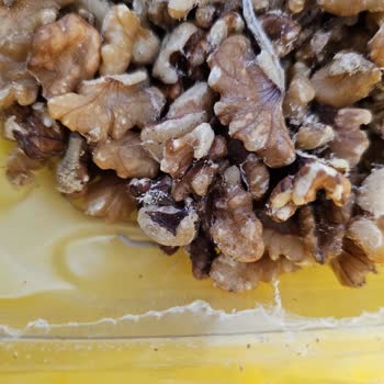 Şok Amigo Kurtlu Ceviz