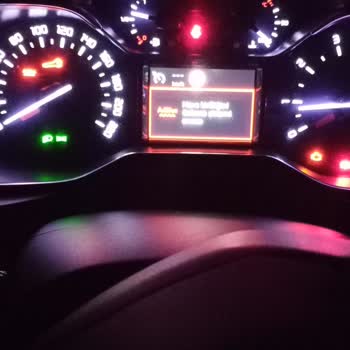 Citroen AdBlue Arızası Giderilememesi
