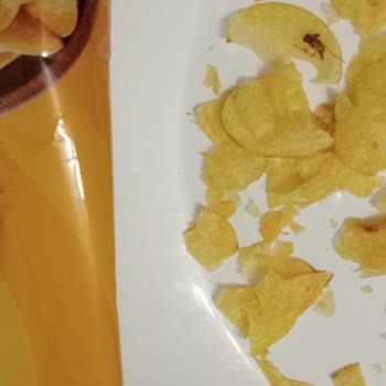 Lays Cips Paketinden Böcek Çıktı