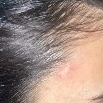 Novar Poliklinik Novar'ın Kalitesizliği Nokta