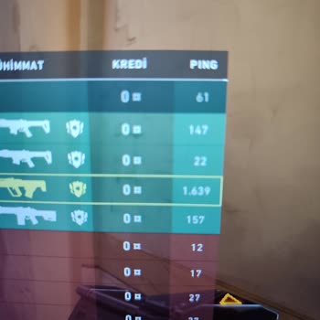 TurkNet'te Rekor 18.000 Ping