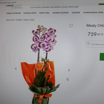 Taze Çiçek (tazecicek.com) Yanlış Çiçek Gönderimi, Bildirmeme Rağmen Bir Şey Yapılmaması