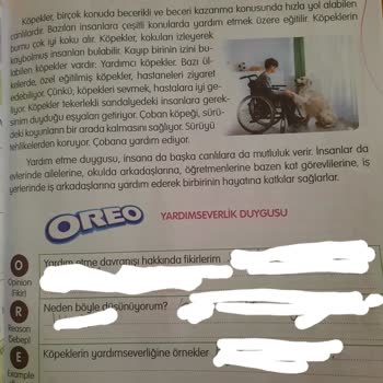 Sadık Uygun Yayınları Yansıtıcı Değerlendirme Çalışmaları