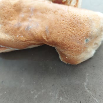 Popeyes Küflü Ekmekle Sipariş Gönderdi.