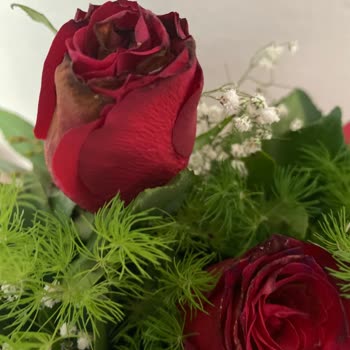 ÇiçekSepeti Solmuş Özensiz Gül Ve Yapraklar