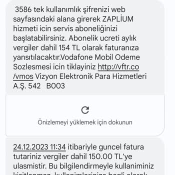 Zaplium Üyelik Ve Vizyon Elektrik Para Hizmetleri