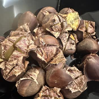 Mopaş Market Köpüren Kestane Satıyor (Çin Kestanesi)