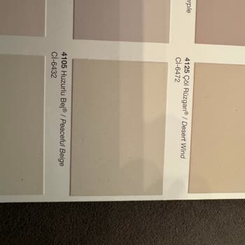 Polisan Boya Rengi Beklentileri Karşılamadı