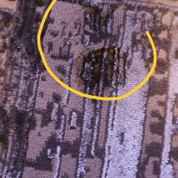 Luxess Halı Dini Değerlere Hakaret Ve Aşağılama