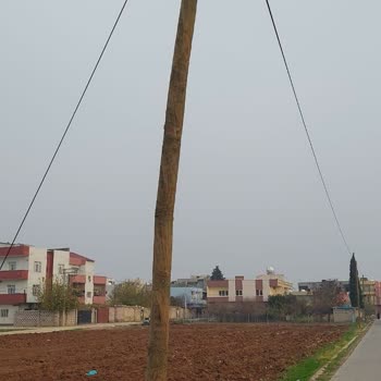 Türk Telekom Telefon Hattı Direği Çatlak-Kırık