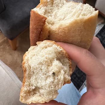 İstanbul Halk Ekmek Halk Ekmeği Yabancı Cisim