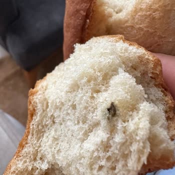 İstanbul Halk Ekmek Halk Ekmeği Yabancı Cisim