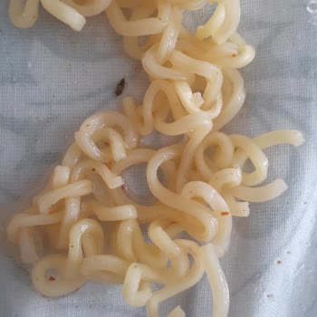 İndomie Noodledan Böcek Çıktı
