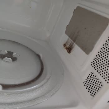 Altus Mikrodalga Fırın İçinde Ateş