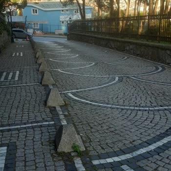 İspark Aracımı Almadı Nedenini Belirtiniz?