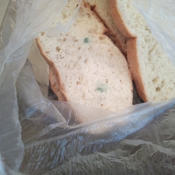 BİM Paketli Ekmek İçinde Çıkan