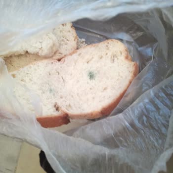 BİM Paketli Ekmek İçinde Çıkan