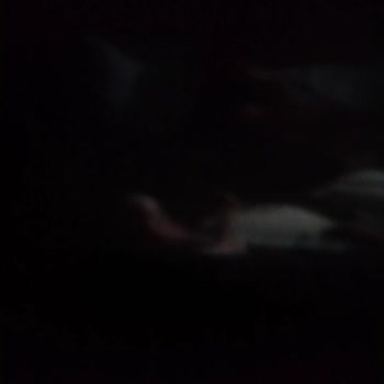 Paribu Cineverse Sinema Deneyiminde Yaşanan Teknik Sorunlar Ve Mağduriyet