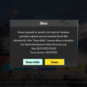 PUBG (Pubgmobile.com) Hesap Kısıtlama Kaldı