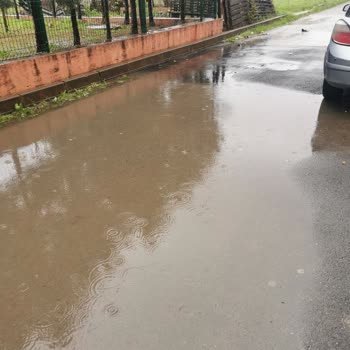 Darıca Belediyesi ve Fen İşleri 0