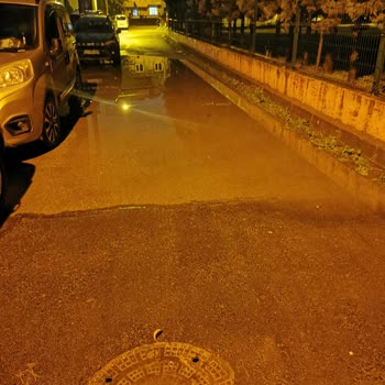 Darıca Belediyesi ve Fen İşleri 0