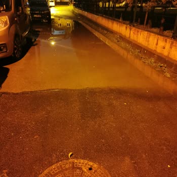 Darıca Belediyesi ve Fen İşleri 0