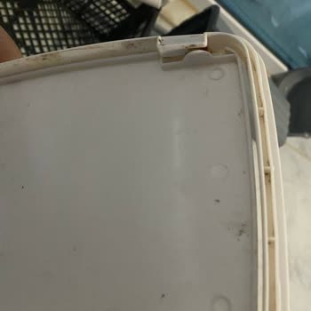 Madame Coco Çöp Kutusu Yayları Ve Metali Çok Kalitesiz Küfleniyor Kırılıyor
