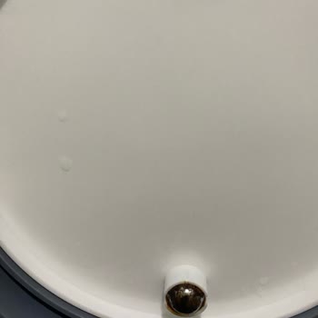 Madame Coco Çöp Kutusu Yayları Ve Metali Çok Kalitesiz Küfleniyor Kırılıyor