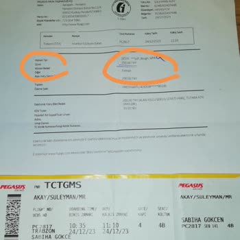 Pegasus, Yetkisi Ve İzini Olmadan