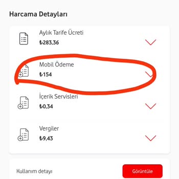 Vizyon Elektronik Para Yanlış Üyelikle Param Kesildi