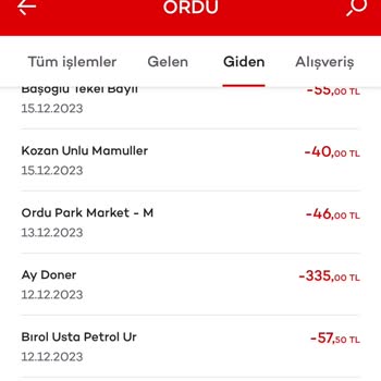 AgeSA Hayat ve Emeklilik Bireysel Emeklilik Sistemi