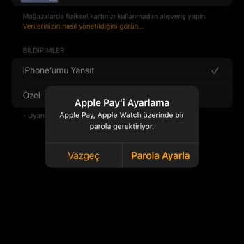 Parola Çalışmıyor Apple Watch