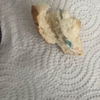 A101 Simit İçinden Çıkan!