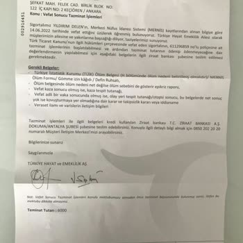 Türkiye Hayat Emeklilik Ve Sigortanın Ödeme Yapmaması