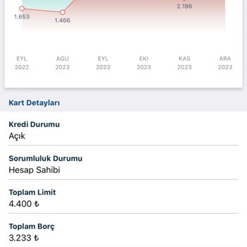 17 Yıldır Aynı Limit: İş Bankası Neden Güncellemez?