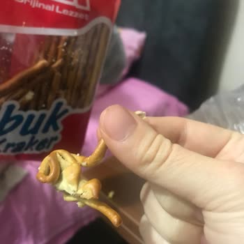 Ülker Tuzlu Kraker Garipliği