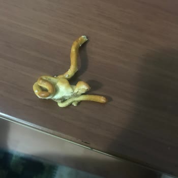 Ülker Tuzlu Kraker Garipliği