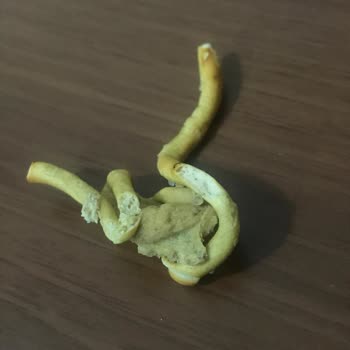 Ülker Tuzlu Kraker Garipliği