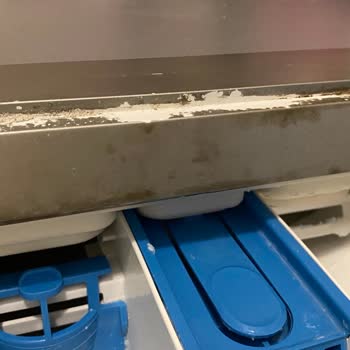 Bosch Makinem Küflendi Sarardı Boyası Kalktı