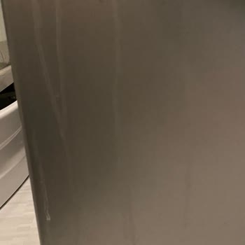 Bosch Makinem Küflendi Sarardı Boyası Kalktı