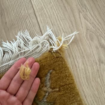 Pusula Halı Yıkama Asla Halınızı Bu Firmada Yıkatmayın