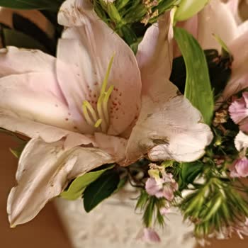 Çiçek Sepeti Kusurlu Çiçek Gönderimi