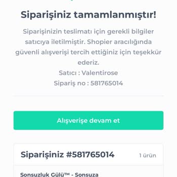 Shopier Kargom Nerede? 7 Gün Geçti!