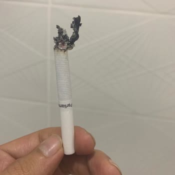 Parliament Parliament Olalı Böyle Şey Görmedi. Plastik Kokulu Sigara